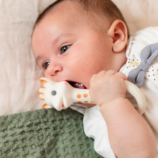 Sophie La Girafe - Teething Ring