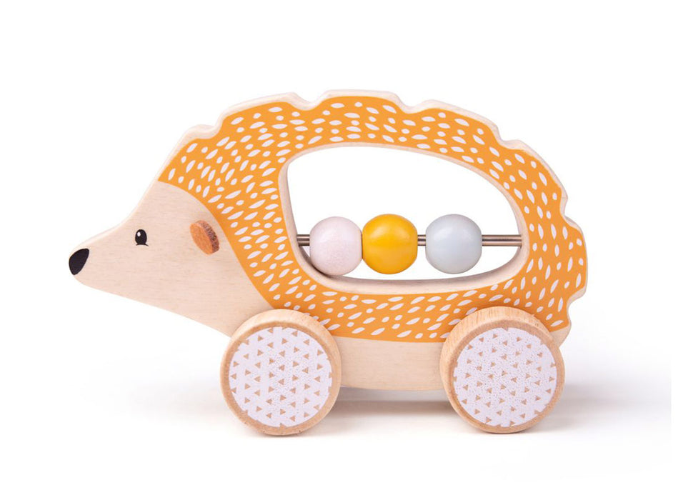 Push Along Hedgehog